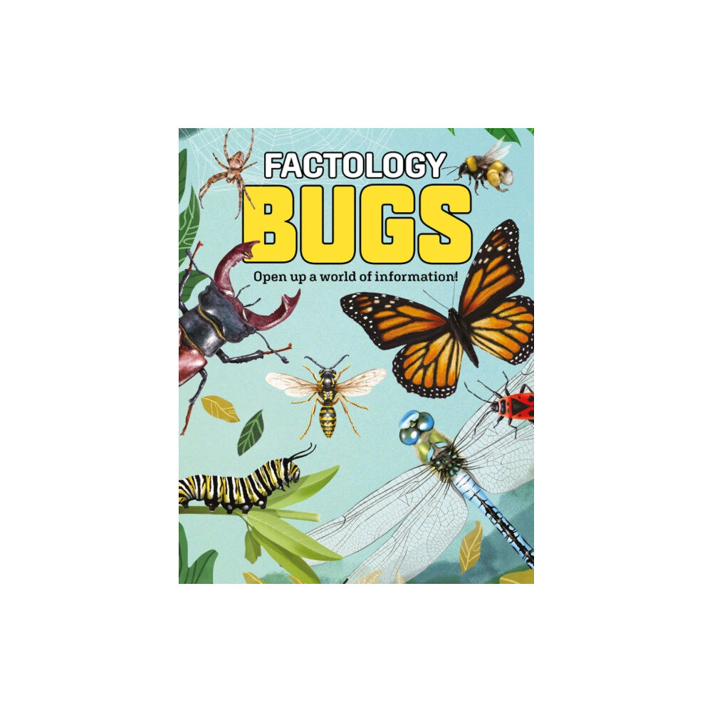 Button Books Factology: Bugs (inbunden, eng)