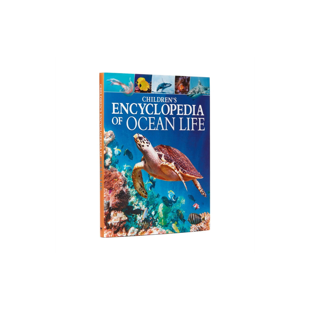 Arcturus publishing ltd Children's Encyclopedia of Ocean Life (inbunden, eng)