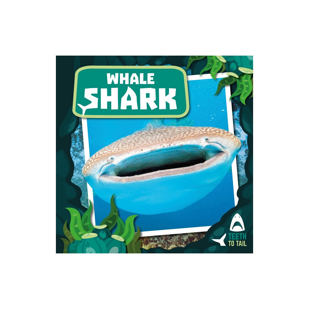 BookLife Publishing Whale Shark (inbunden, eng)