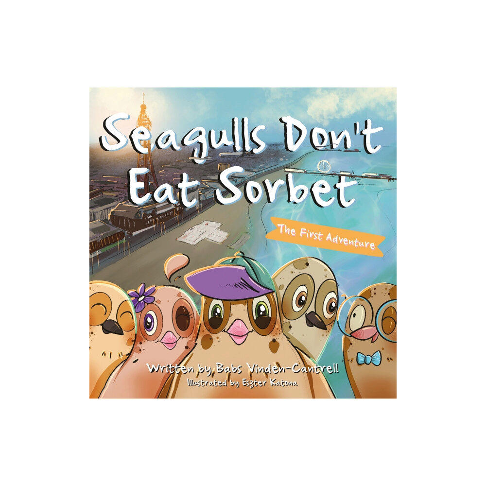 Troubador Publishing Seagulls Don't Eat Sorbet (häftad, eng)