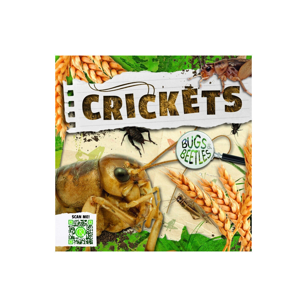 BookLife Publishing Crickets (inbunden, eng)