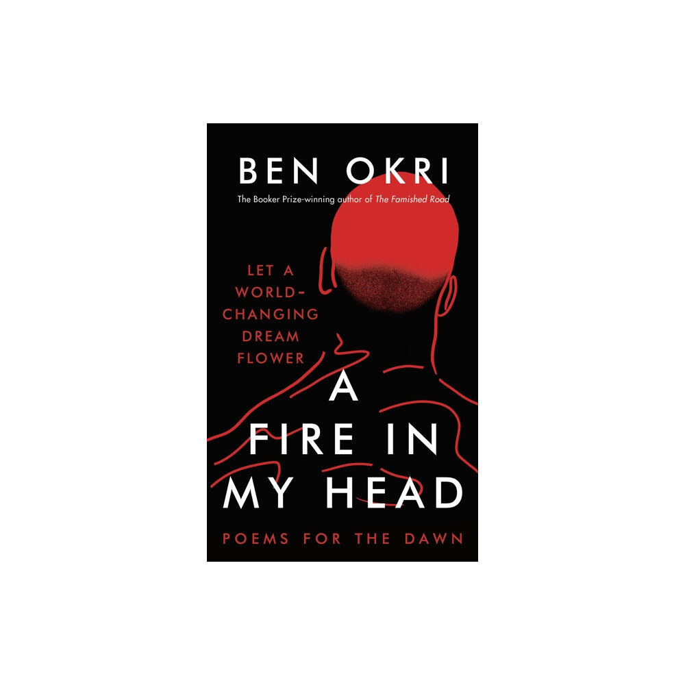 Bloomsbury Publishing PLC A Fire in My Head (häftad, eng)