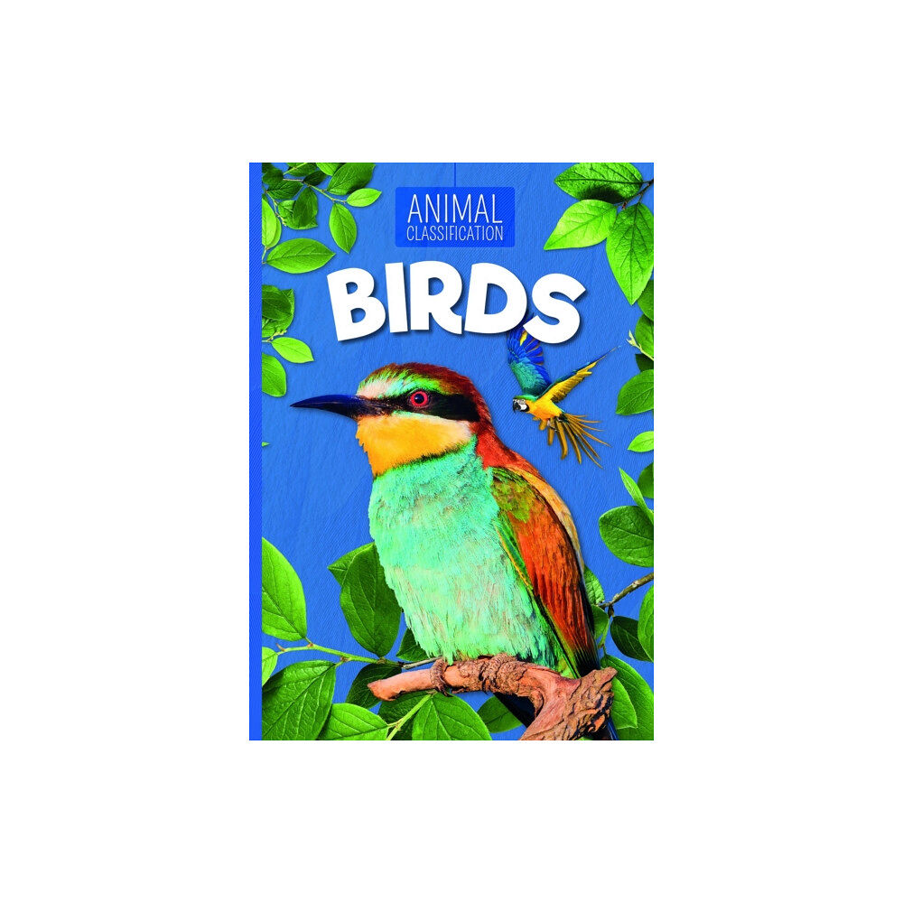 BookLife Publishing Birds (häftad, eng)