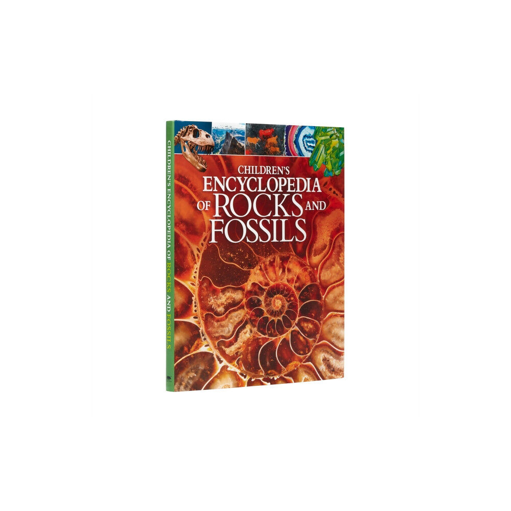 Arcturus publishing ltd Children's Encyclopedia of Rocks and Fossils (inbunden, eng)