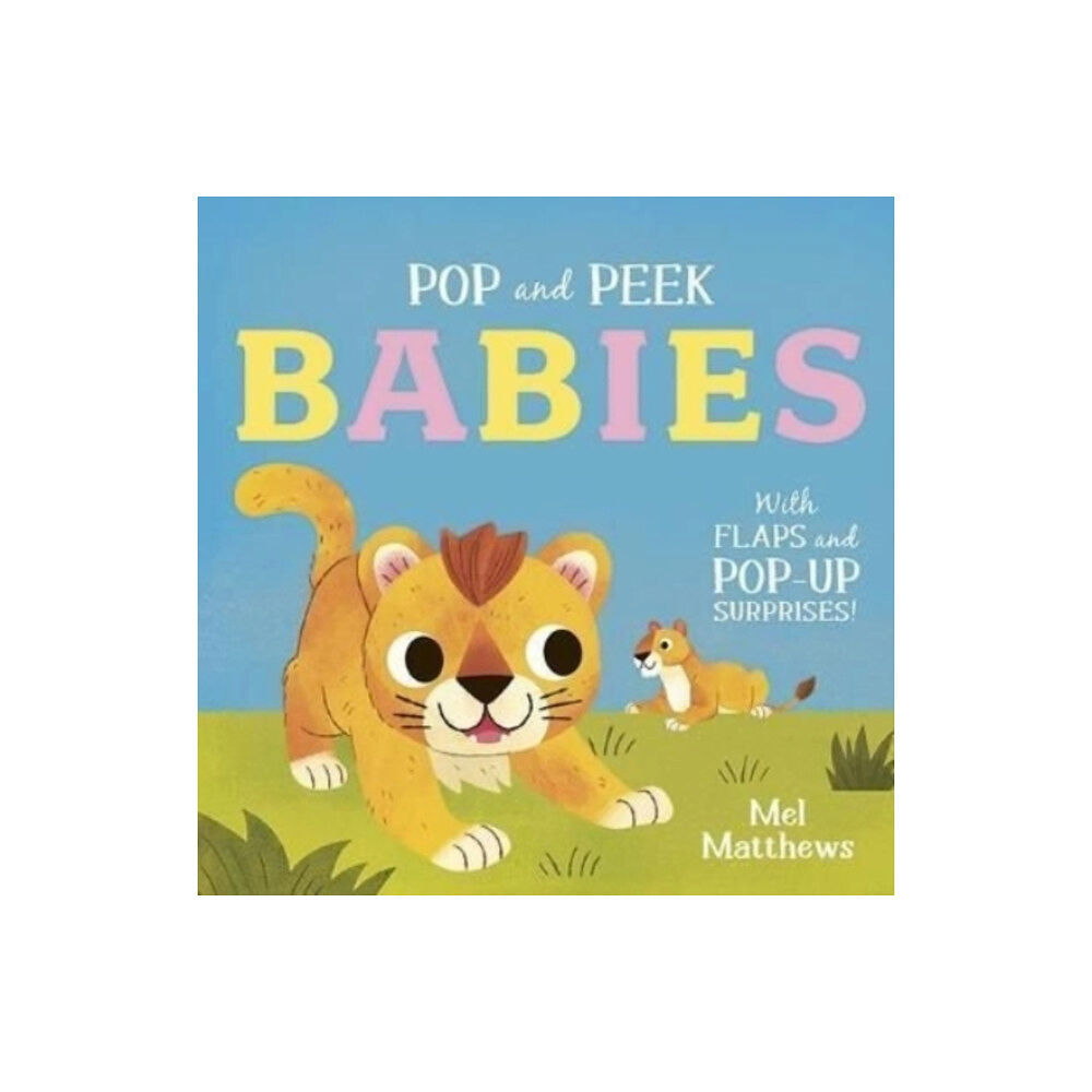 Templar Publishing Pop and Peek: Babies (bok, board book, eng)