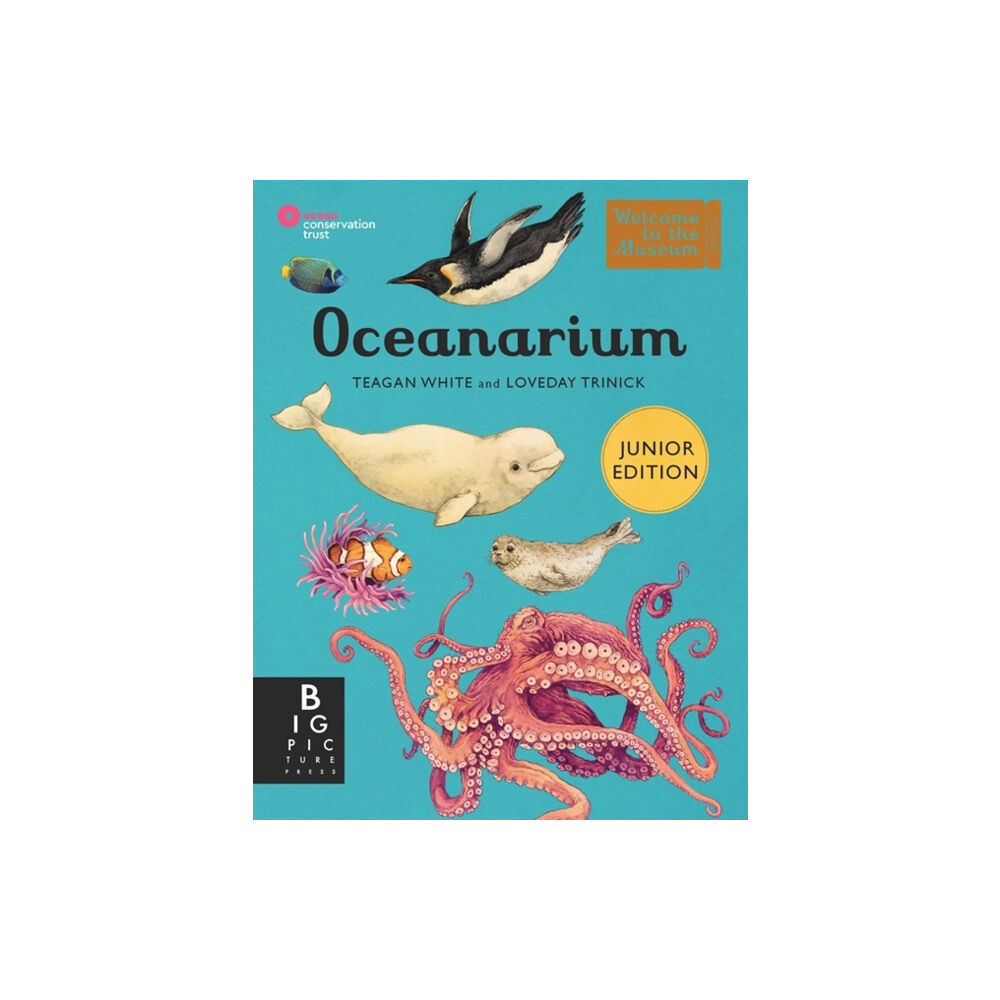 Templar Publishing Oceanarium (Junior Edition) (inbunden, eng)