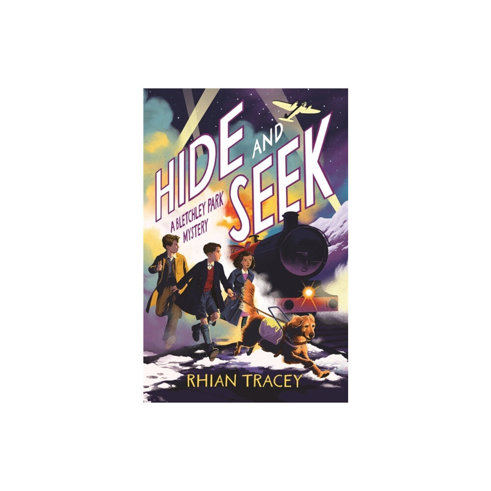 Templar Publishing Hide and Seek (häftad, eng)