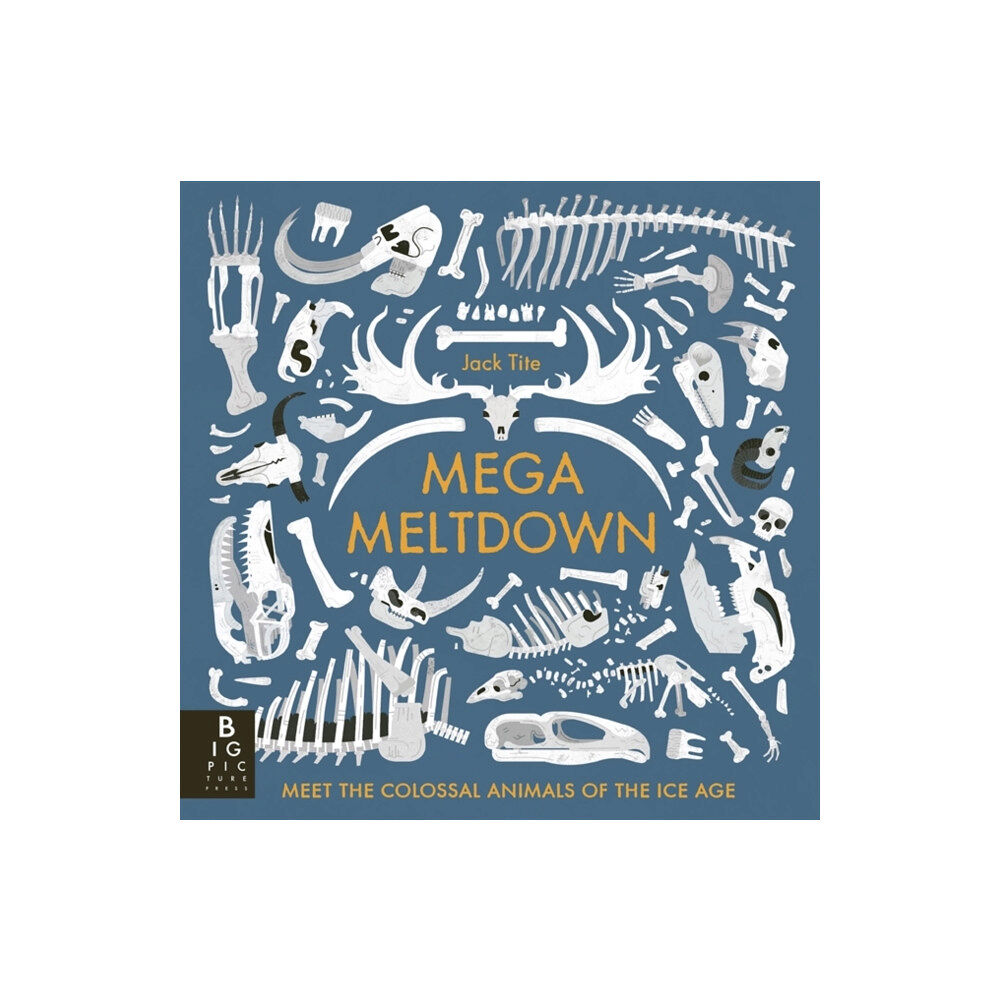 Templar Publishing Mega Meltdown (häftad, eng)