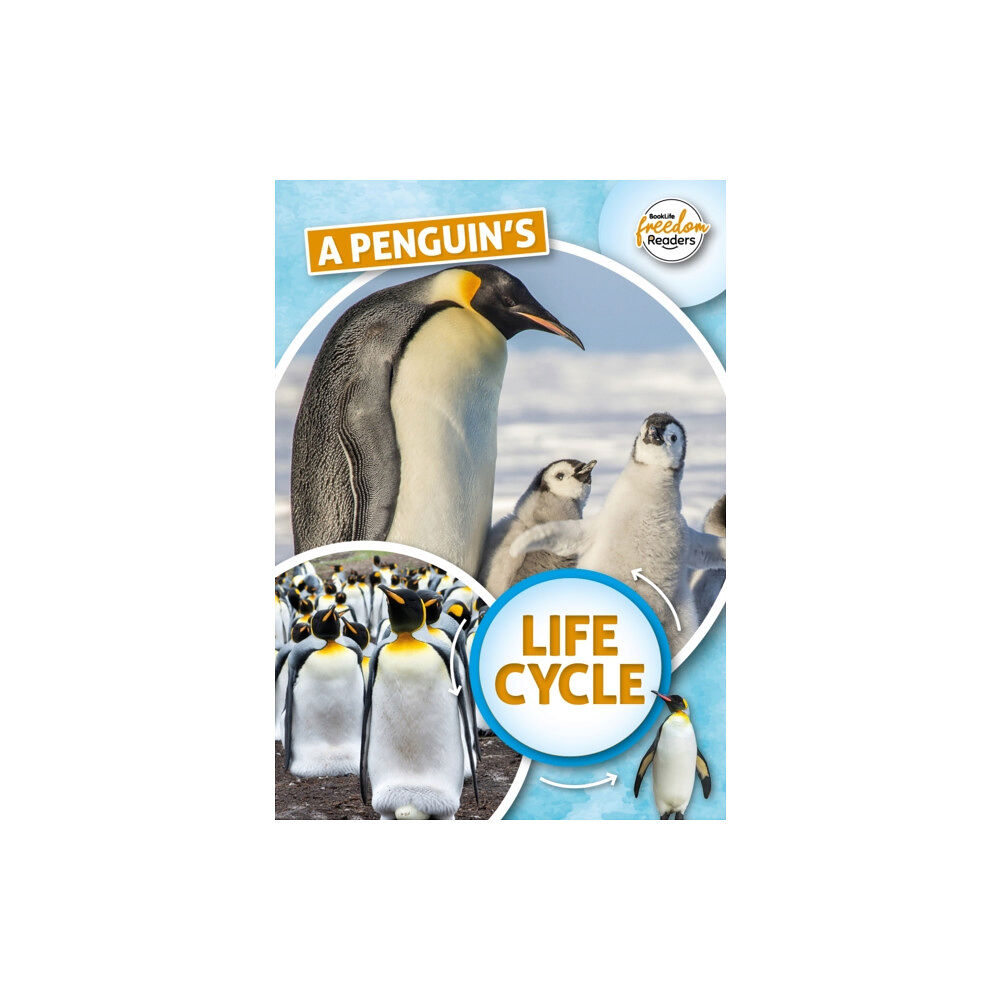 BookLife Publishing A Penguin's Life Cycle (häftad, eng)