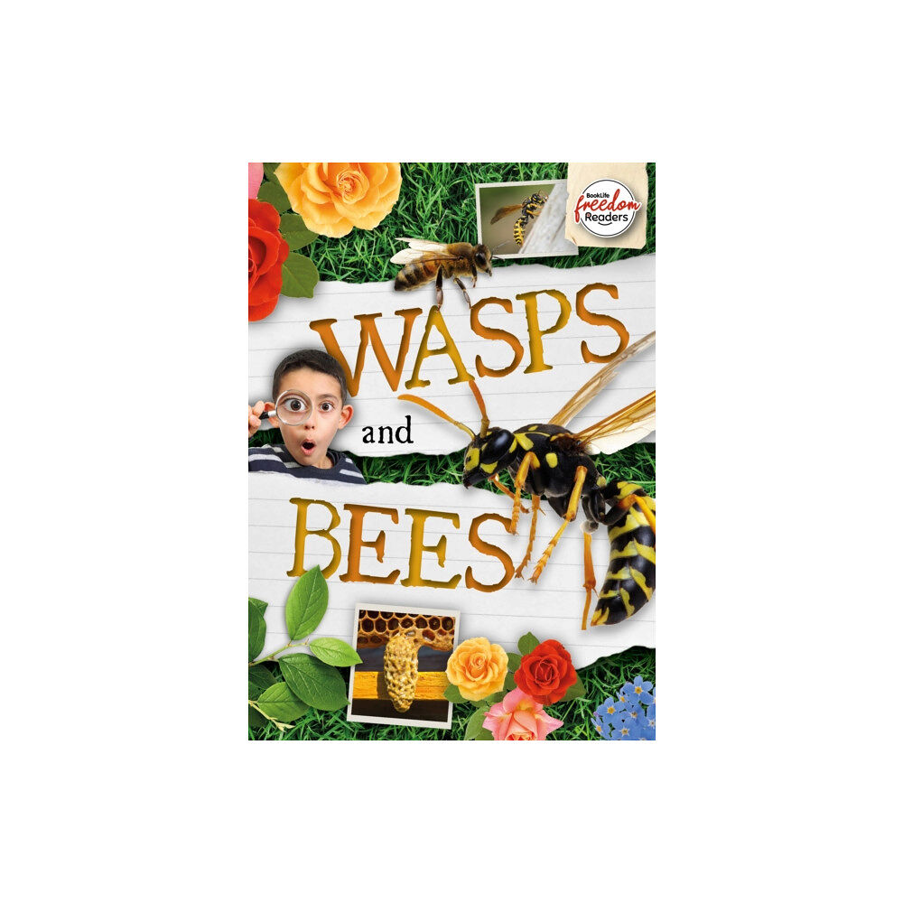 BookLife Publishing Wasps and Bees (häftad, eng)