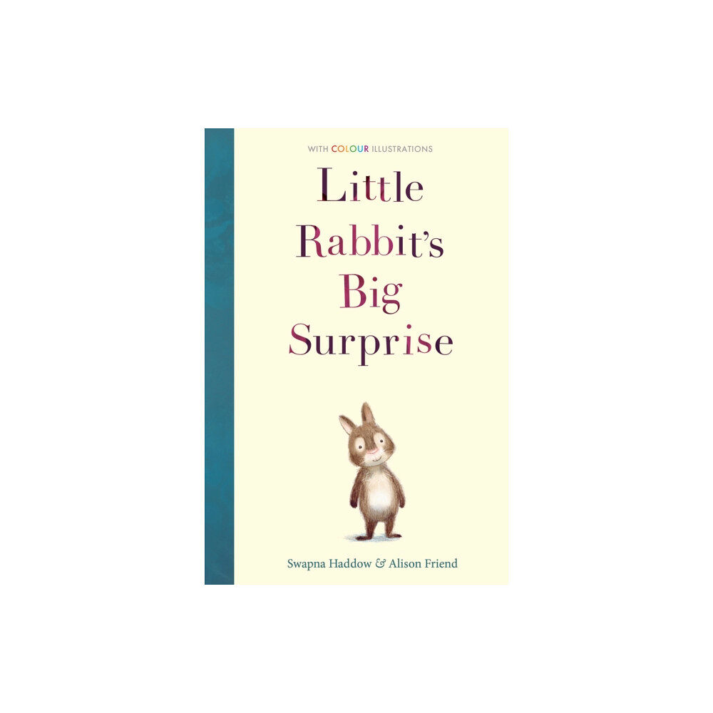 Little Tiger Press Group Little Rabbit's Big Surprise (häftad, eng)