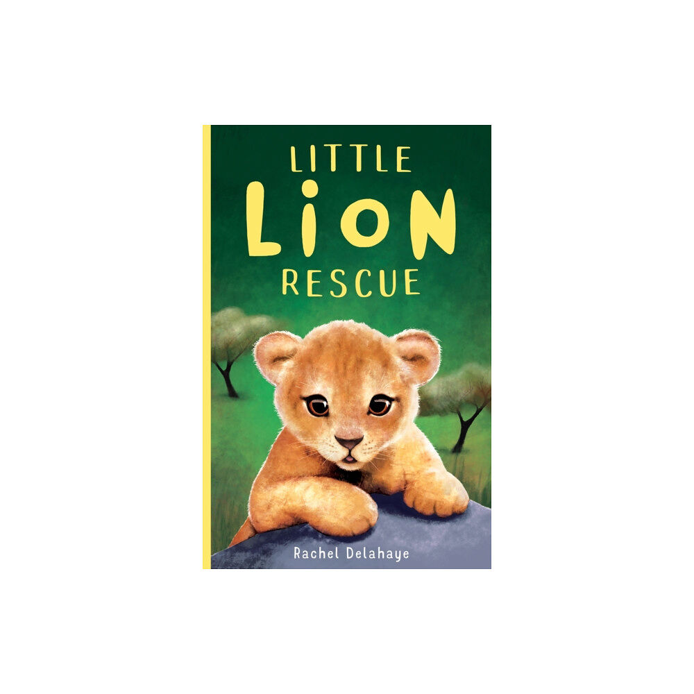 Little Tiger Press Group Little Lion Rescue (häftad, eng)