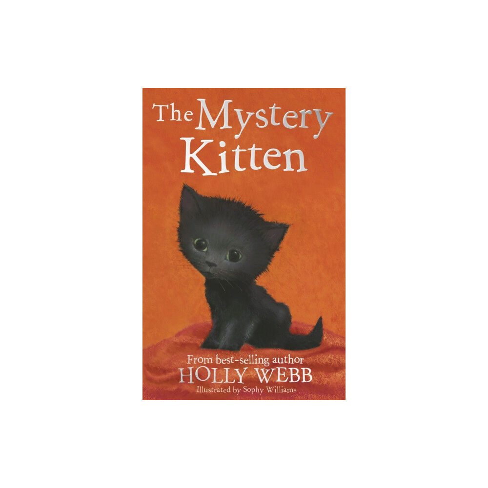 Little Tiger Press Group The Mystery Kitten (häftad, eng)