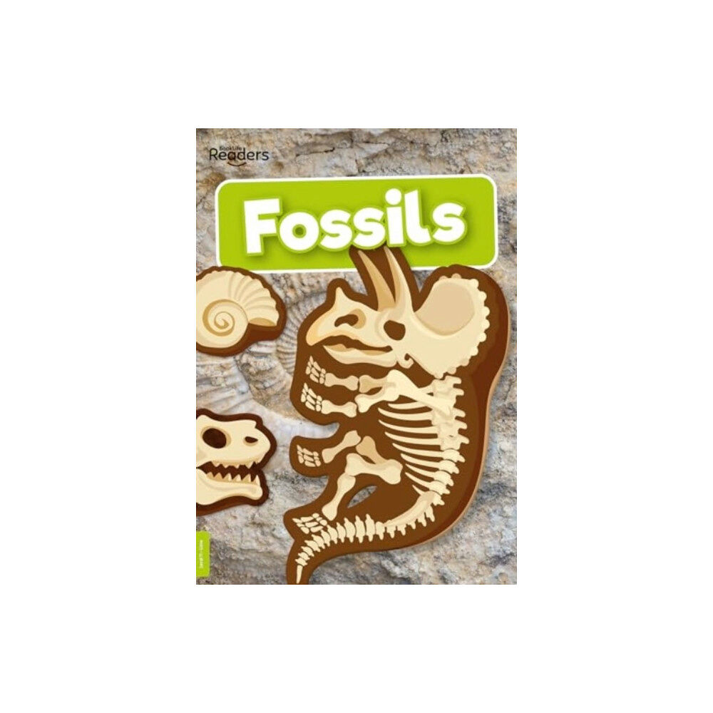 BookLife Publishing Fossils (häftad, eng)