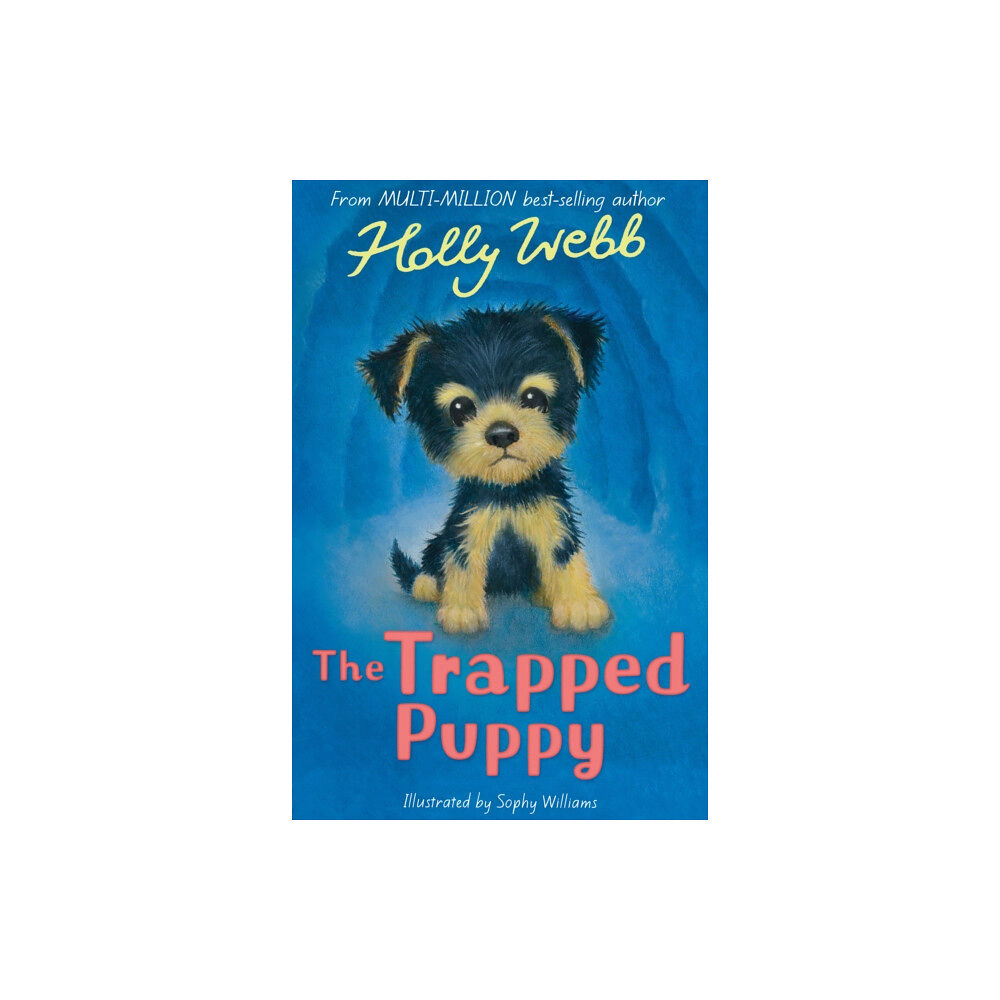 Little Tiger Press Group The Trapped Puppy (häftad, eng)