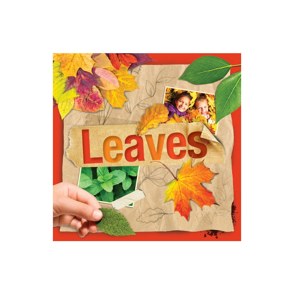 BookLife Publishing Leaves (häftad, eng)