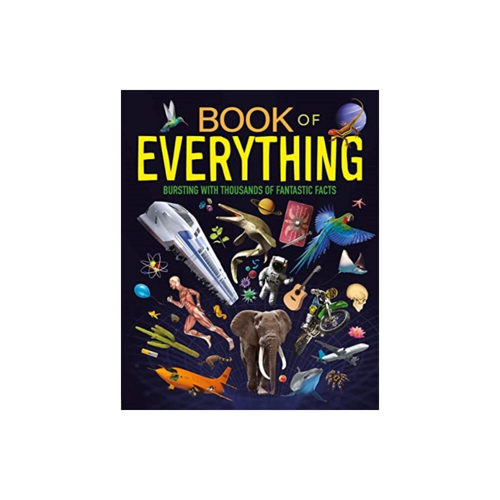 Bonnier Books Ltd Book of Everything (inbunden, eng)