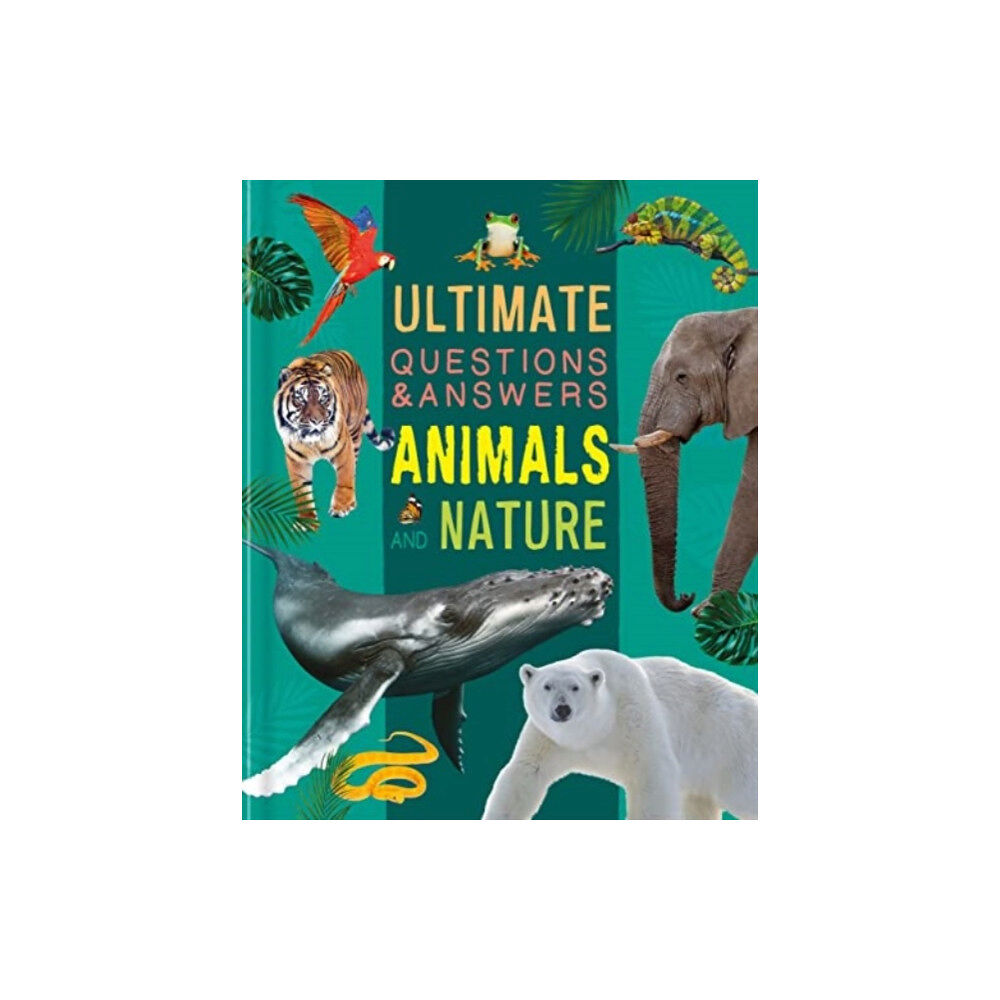 Bonnier Books Ltd Ultimate Questions & Answers: Animals and Nature (inbunden, eng)