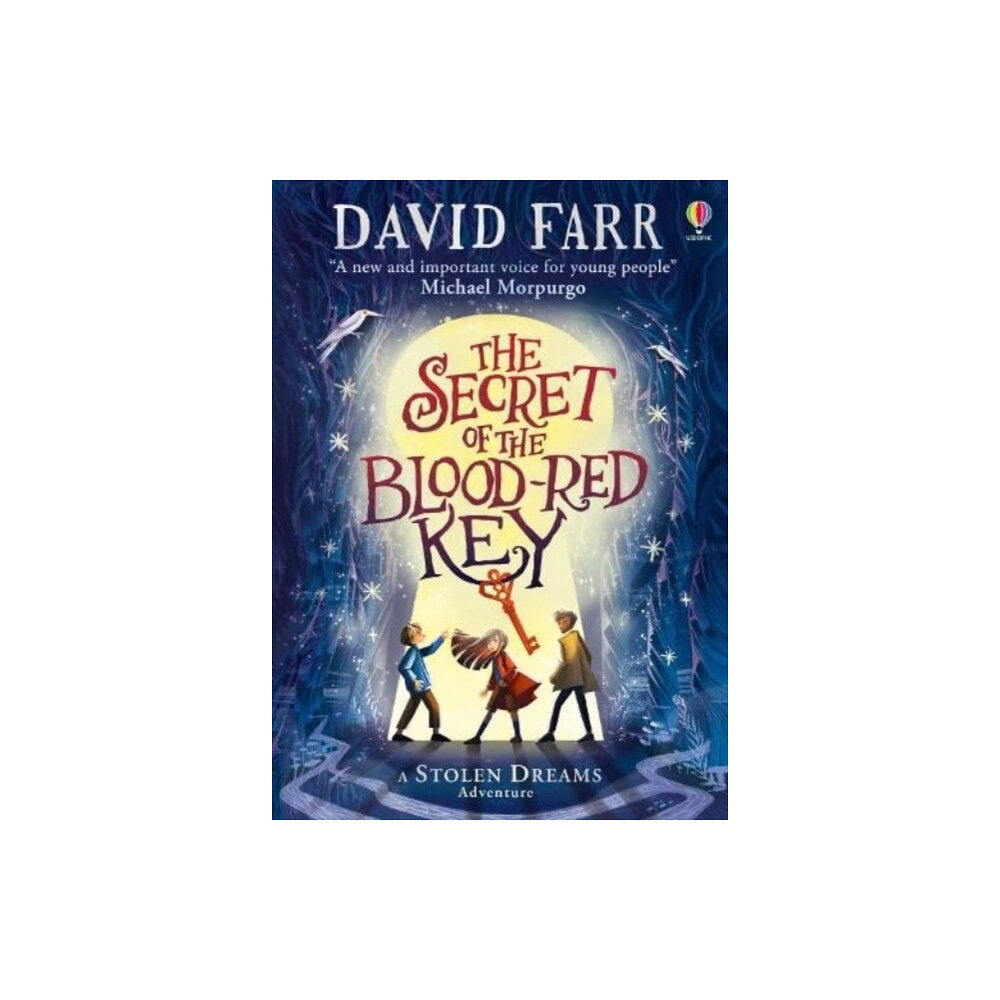 Usborne Publishing Ltd The Secret of the Blood-Red Key (häftad, eng)