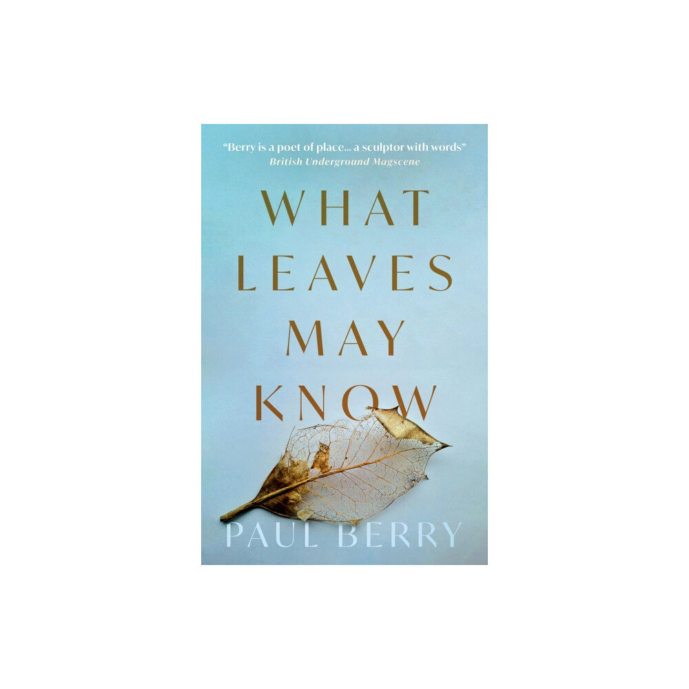 Troubador Publishing What Leaves May Know (häftad, eng)