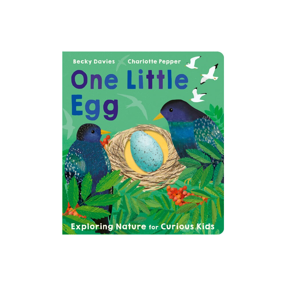 Little Tiger Press Group One Little Egg (bok, board book, eng)