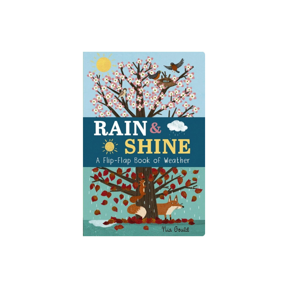 Little Tiger Press Group Rain & Shine: A Flip-Flap Book of Weather (bok, board book, eng)