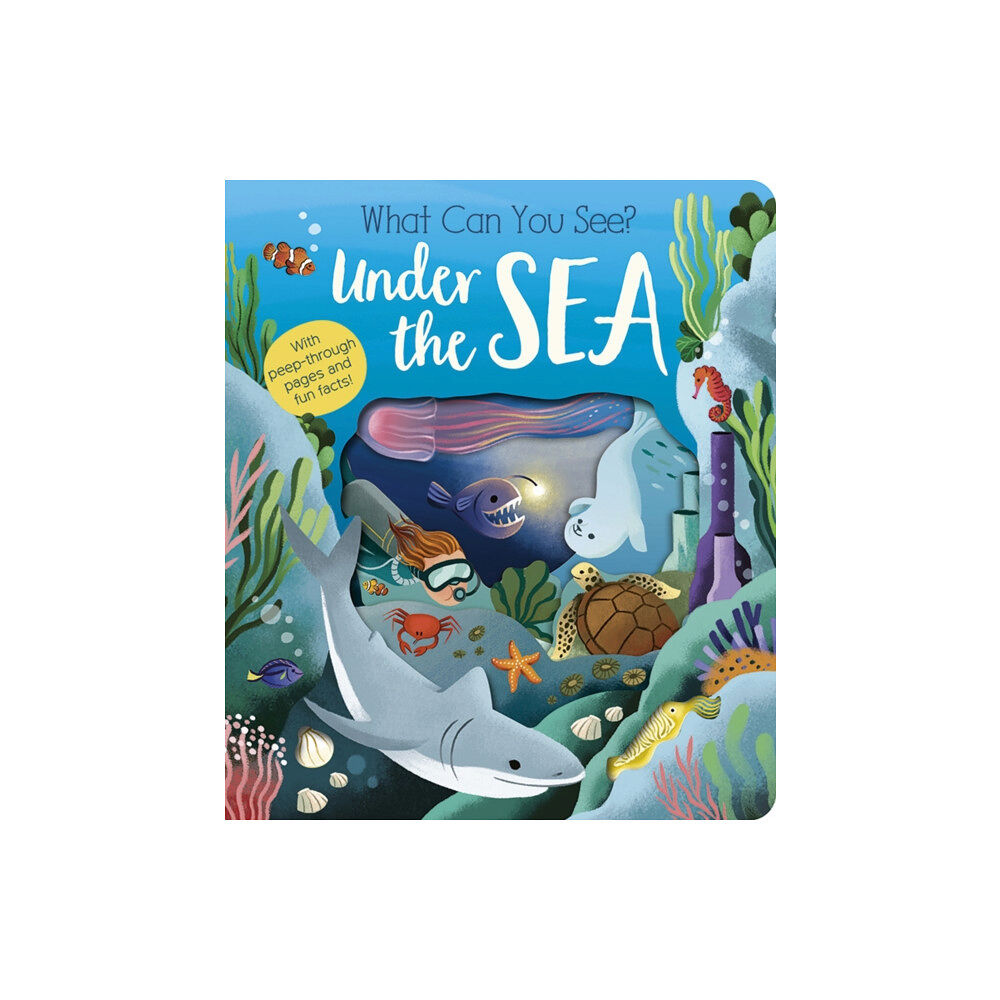 Little Tiger Press Group What Can You See? Under the Sea (bok, board book, eng)