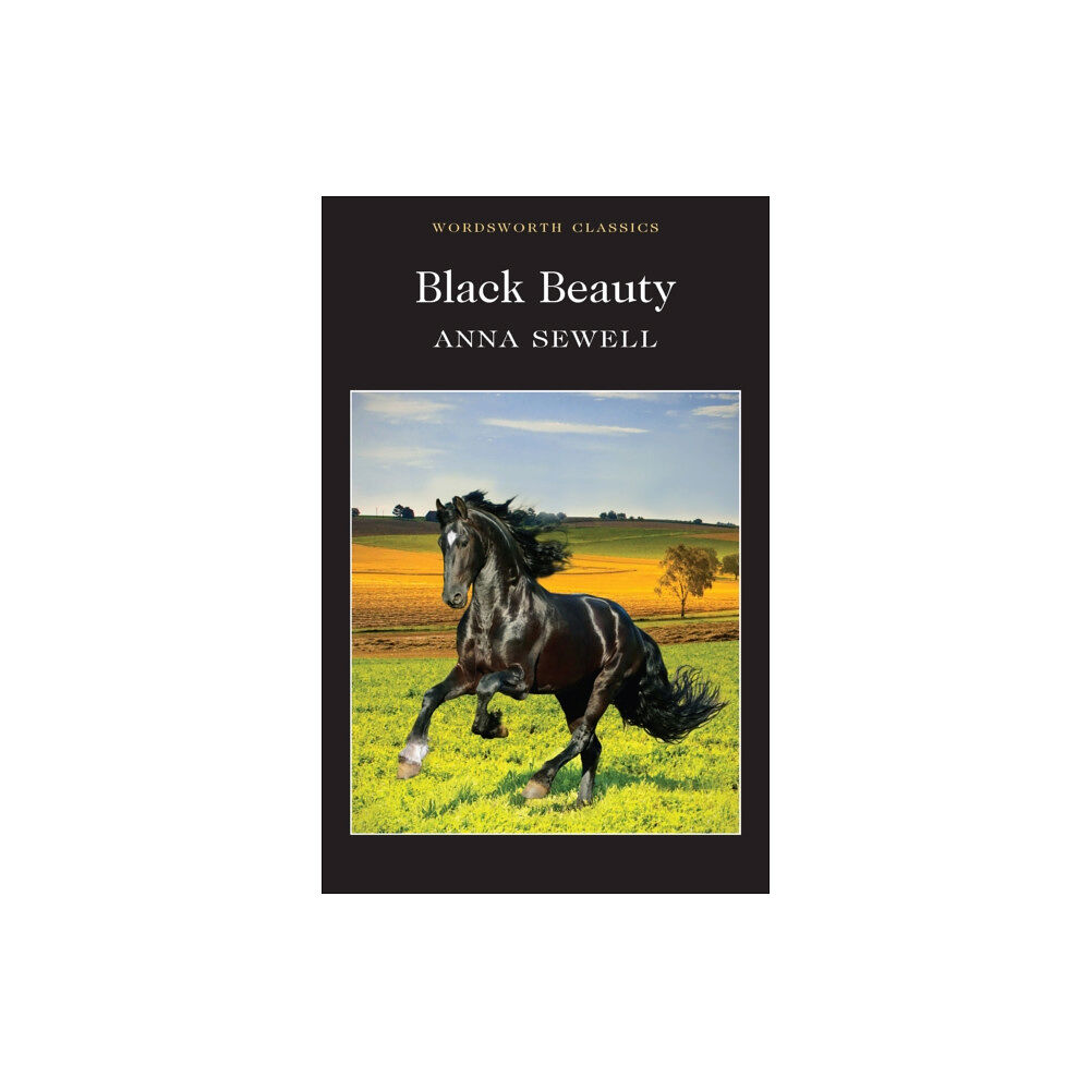 Wordsworth Editions Ltd Black Beauty (häftad, eng)