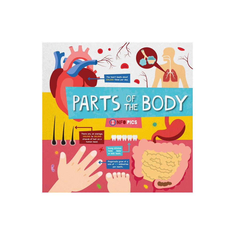 BookLife Publishing Parts of the Body (häftad, eng)