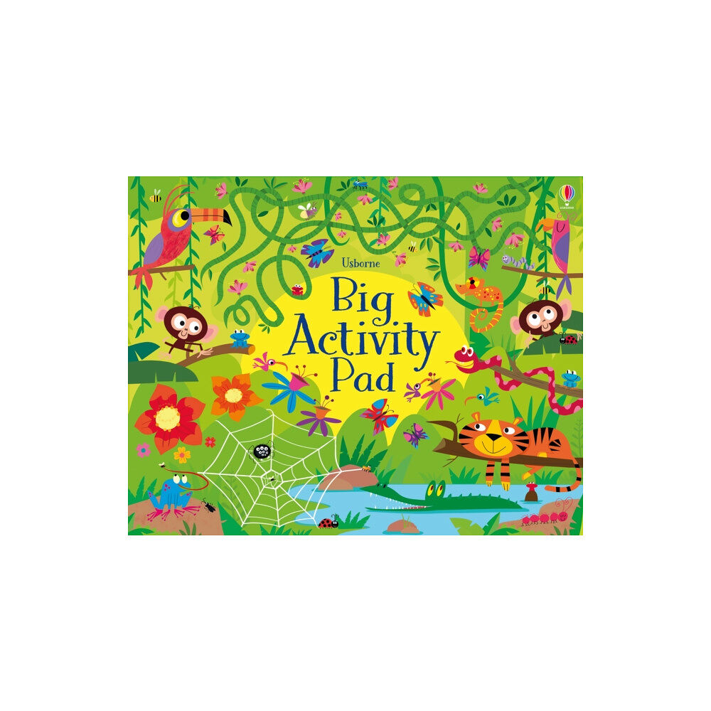 Usborne Publishing Ltd Big Activity Pad (häftad, eng)