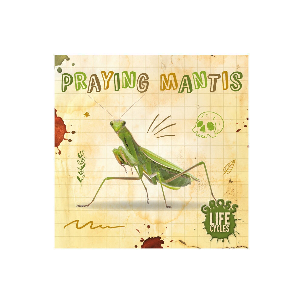 BookLife Publishing Praying Mantis (inbunden, eng)