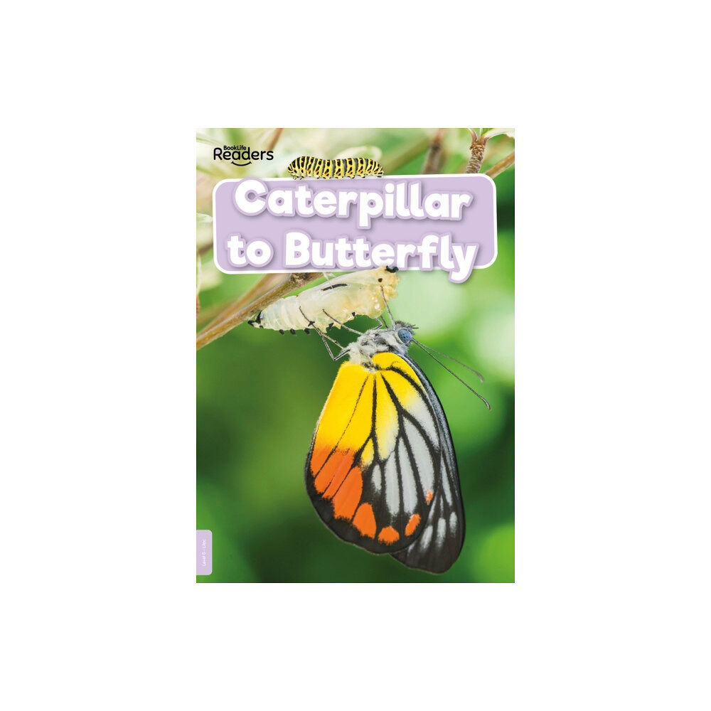 BookLife Publishing Caterpillar to Butterfly (häftad, eng)