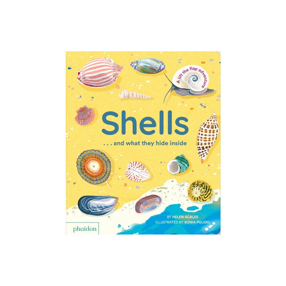 Phaidon Press Ltd Shells... and what they hide inside (bok, board book, eng)