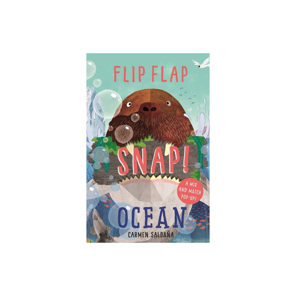 Templar Publishing Flip Flap Snap: Ocean (inbunden, eng)