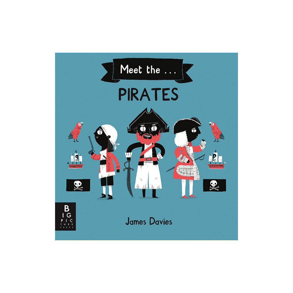 Templar Publishing Meet the Pirates (inbunden, eng)