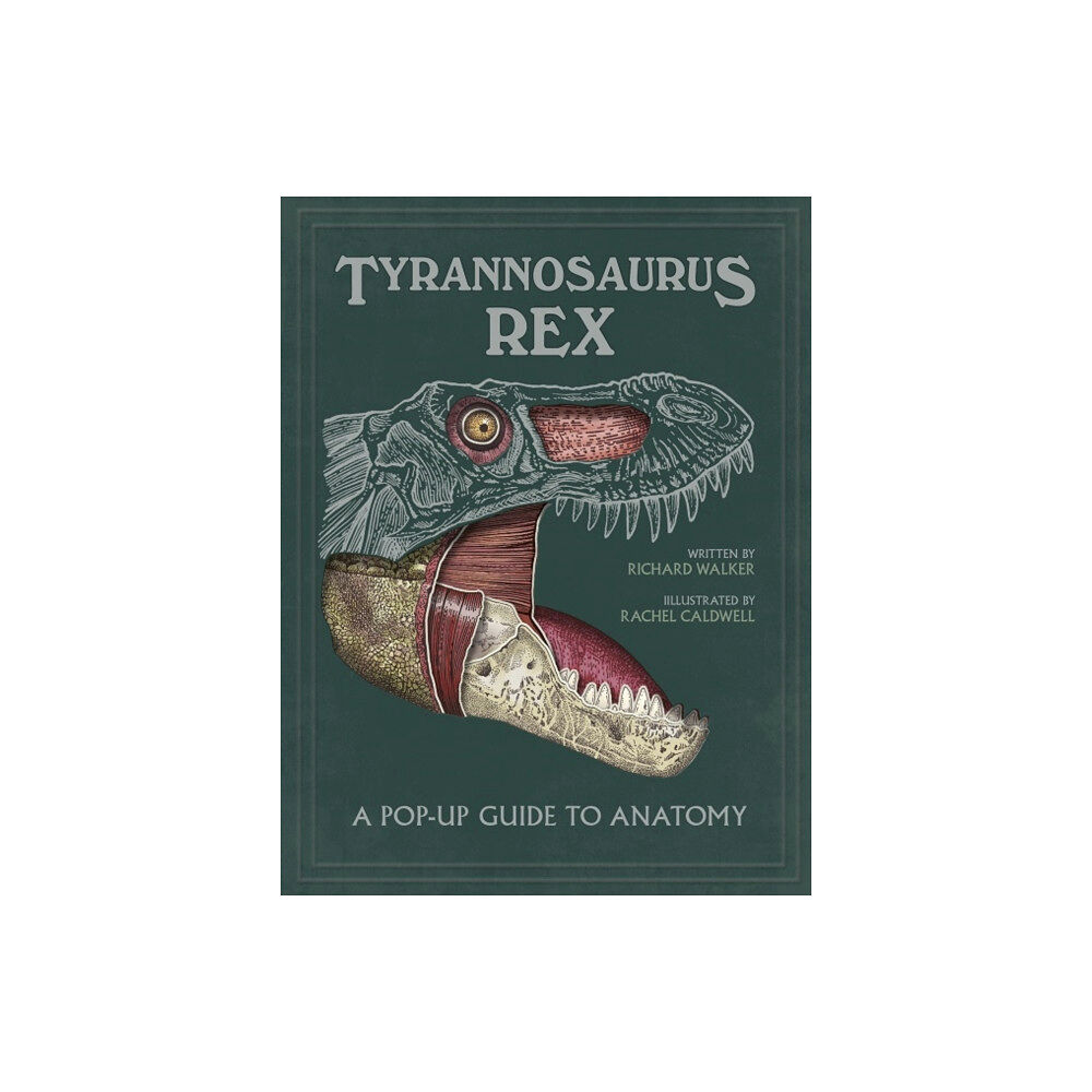 Templar Publishing Tyrannosaurus rex (inbunden, eng)