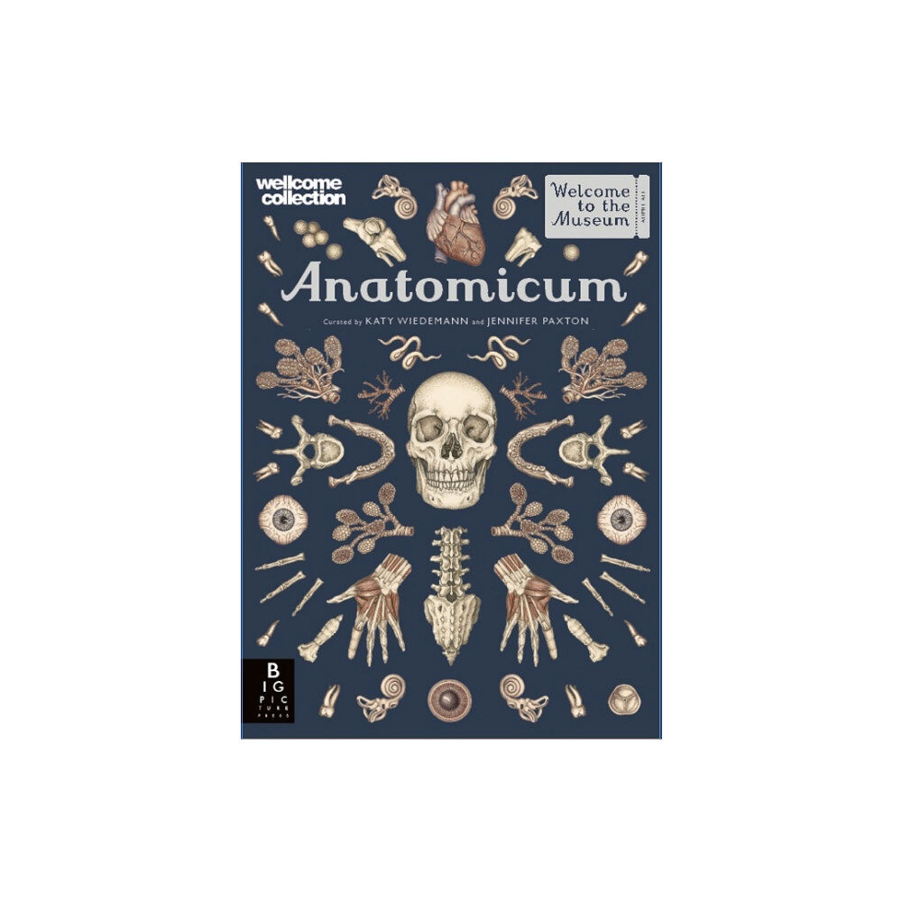 Templar Publishing Anatomicum (inbunden, eng)