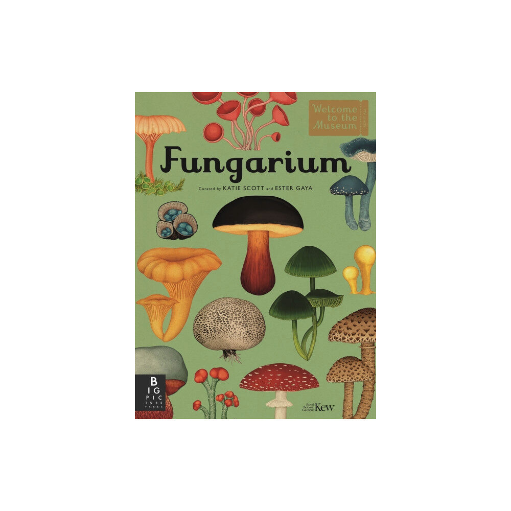 Templar Publishing Fungarium (inbunden, eng)