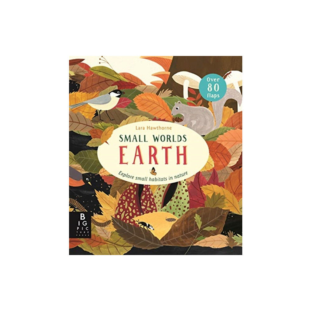 Templar Publishing Small Worlds: Earth (bok, board book, eng)