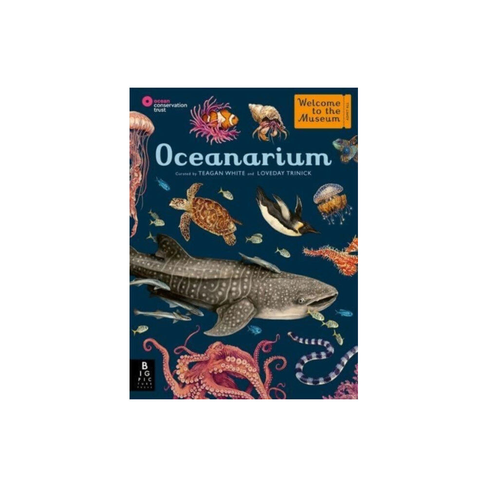 Templar Publishing Oceanarium (inbunden, eng)