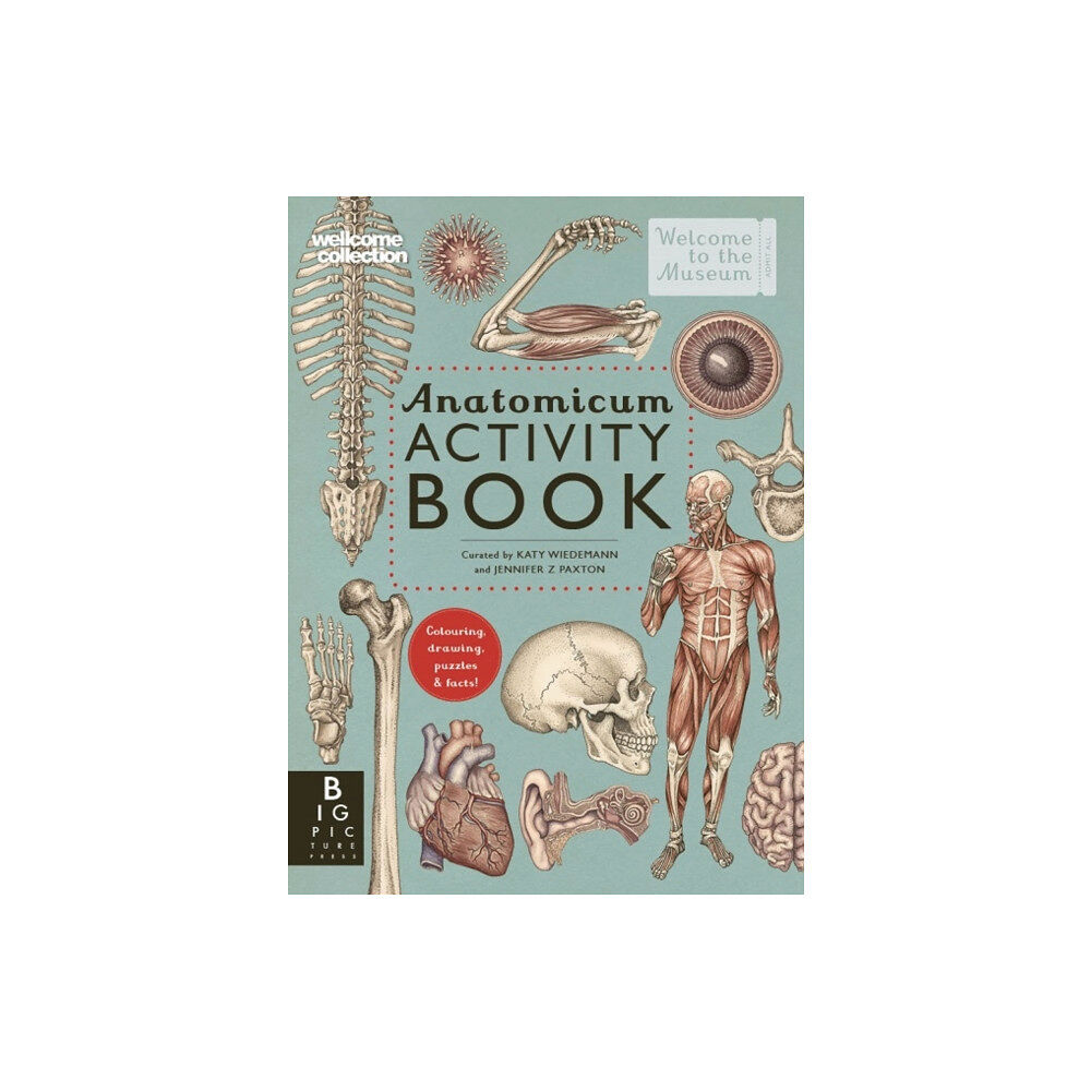 Templar Publishing Anatomicum Activity Book (häftad, eng)