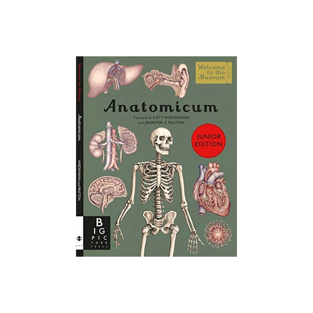 Templar Publishing Anatomicum Junior (inbunden, eng)