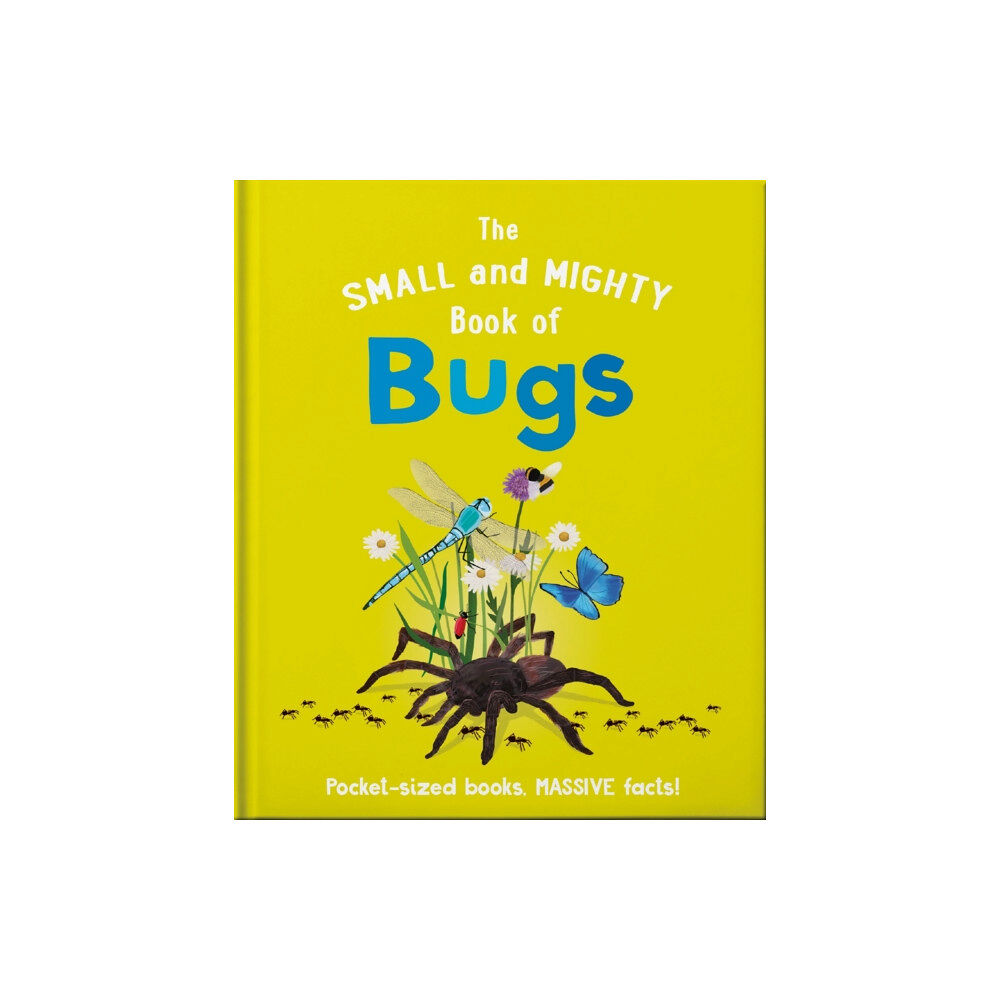 Hachette Children's Group The Small and Mighty Book of Bugs (inbunden, eng)