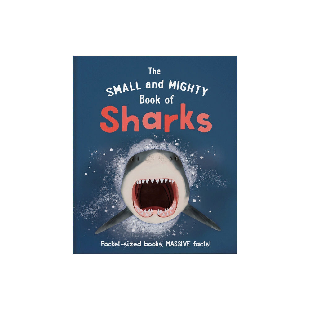 Hachette Children's Group The Small and Mighty Book of Sharks (inbunden, eng)