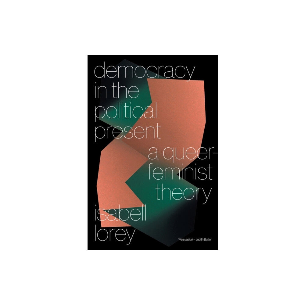 Verso Books Democracy in the Political Present (häftad, eng)