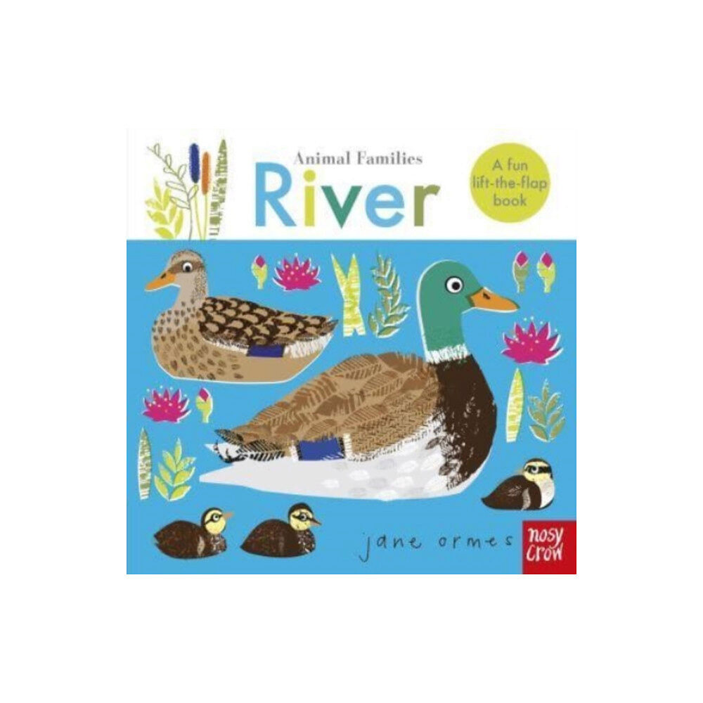 Nosy Crow Ltd Animal Families: River (bok, board book, eng)