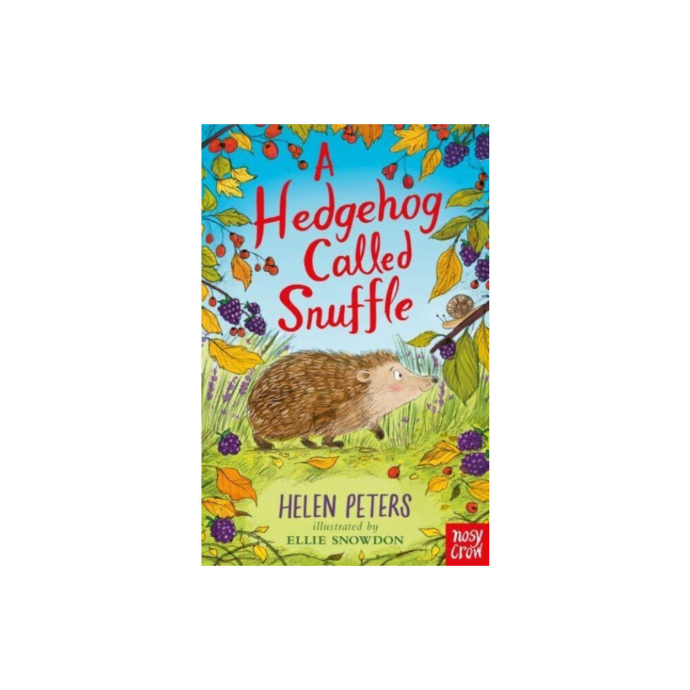 Nosy Crow Ltd A Hedgehog Called Snuffle (häftad, eng)