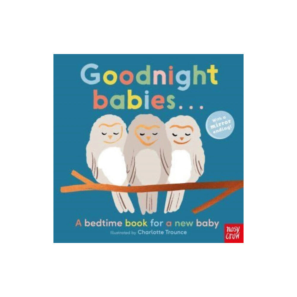 Nosy Crow Ltd Goodnight Babies . . . (bok, board book, eng)