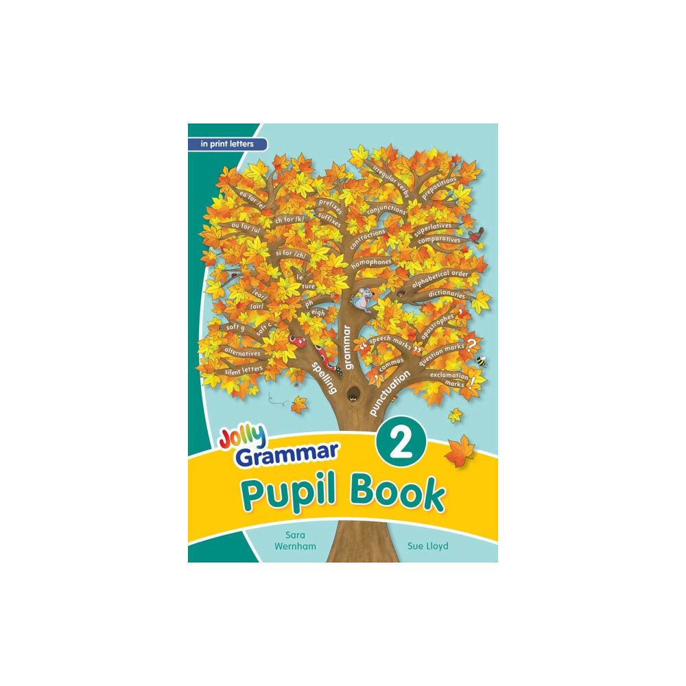 Jolly Learning Ltd Grammar 2 Pupil Book (häftad, eng)