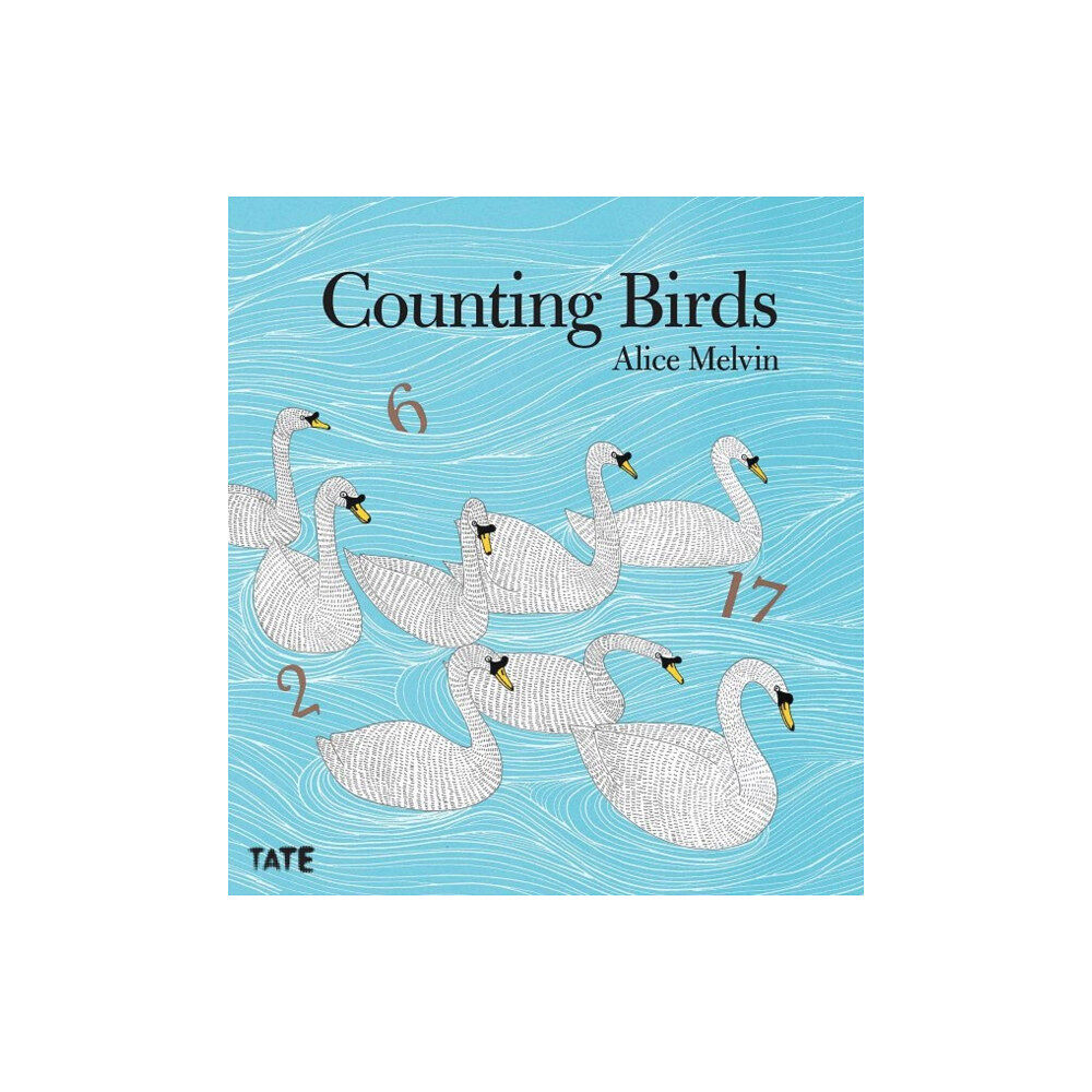 Tate Publishing Counting Birds (häftad, eng)